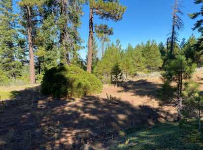 Residential Land For Sale in Alturas, California