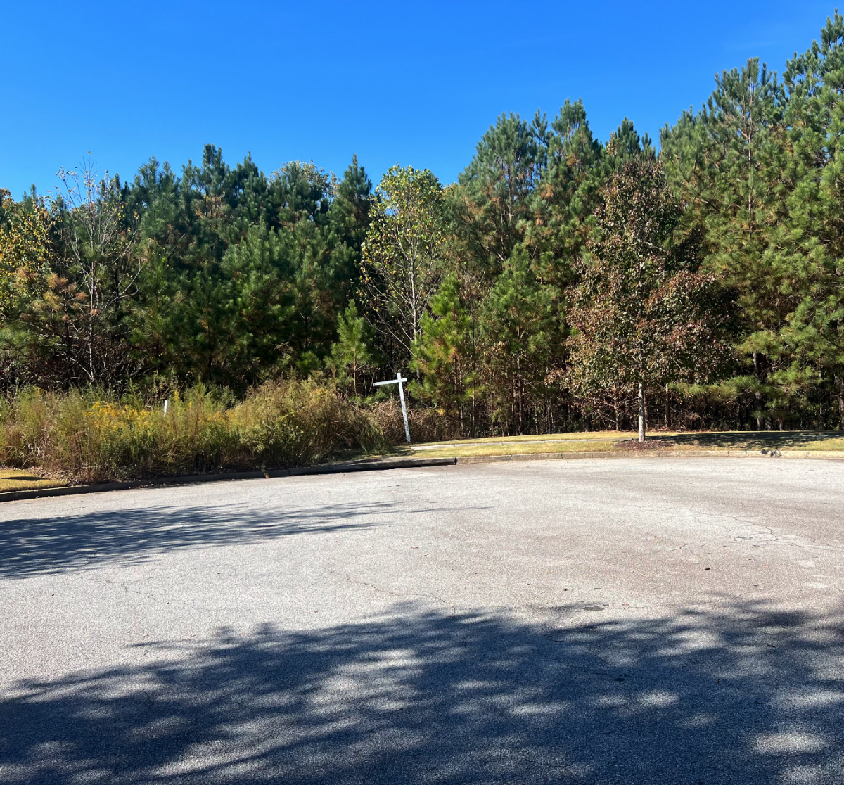 Picture of Residential Land For Sale in Buford, Georgia, United States