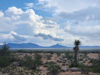 Residential Land For Sale in Temple Bar Marina, Arizona