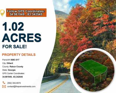 Residential Land For Sale in Sky Valley, Georgia