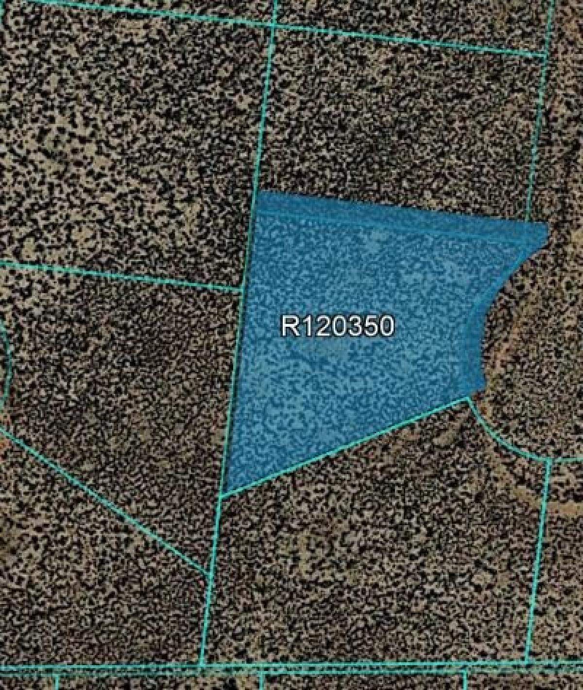 Picture of Residential Land For Sale in Belen, New Mexico, United States