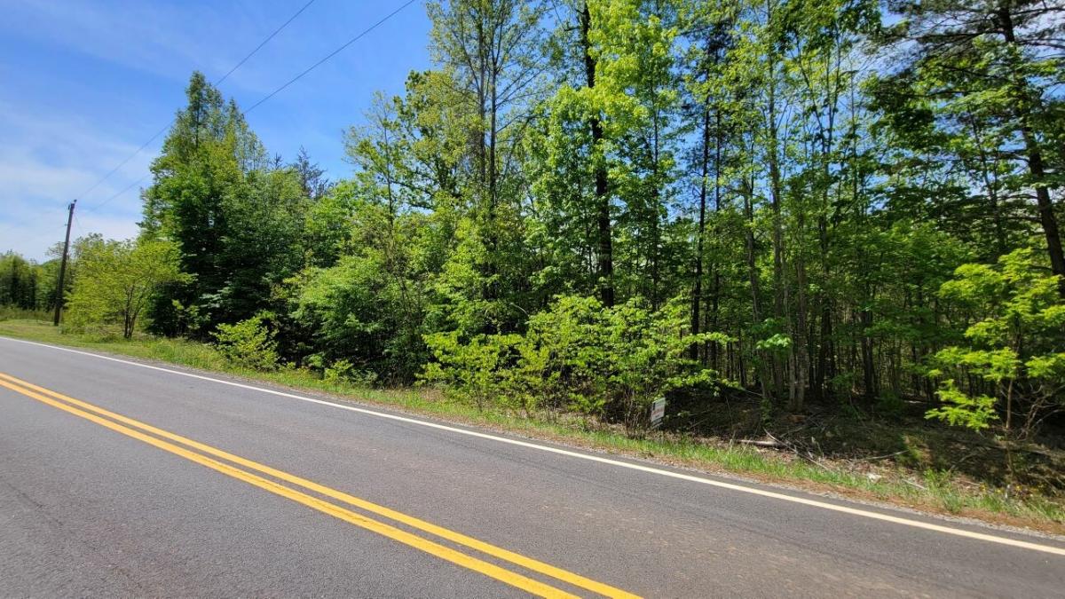 Picture of Residential Land For Sale in Stuart, Virginia, United States