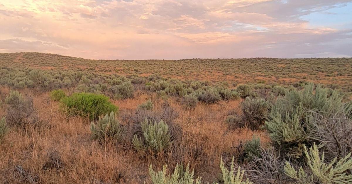 Picture of Residential Land For Sale in Elko, Nevada, United States
