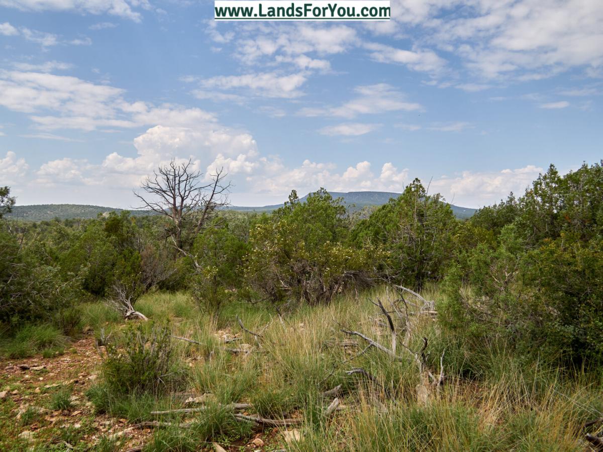 Picture of Residential Land For Sale in Seligman, Arizona, United States