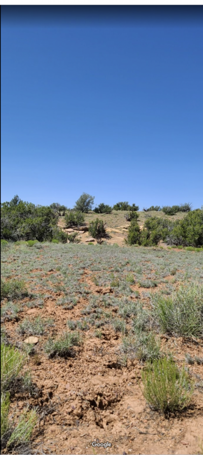 Residential Land For Sale in Saint Johns, Arizona
