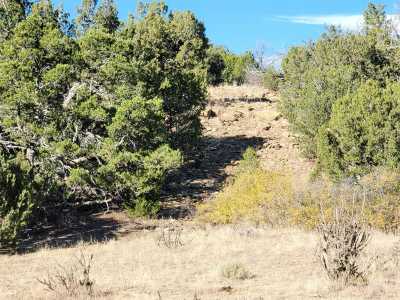 Residential Land For Sale in Walsenburg, Colorado