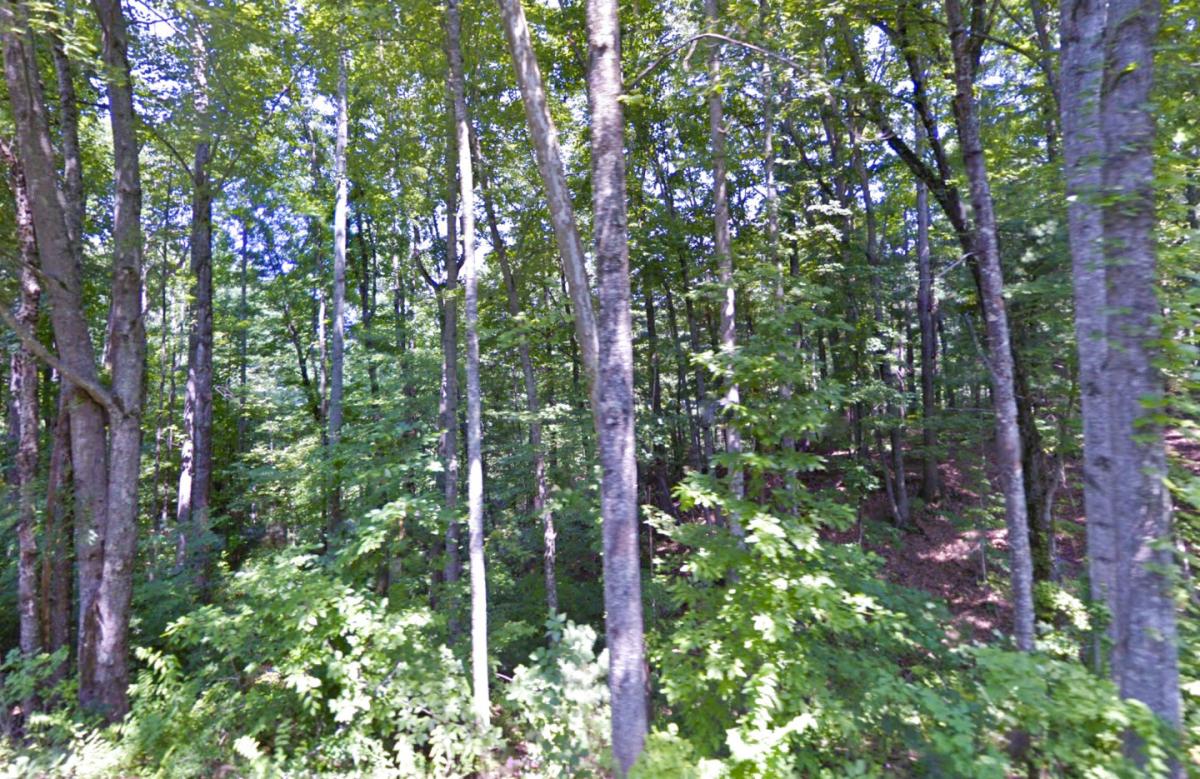 Picture of Residential Land For Sale in Lenoir, North Carolina, United States