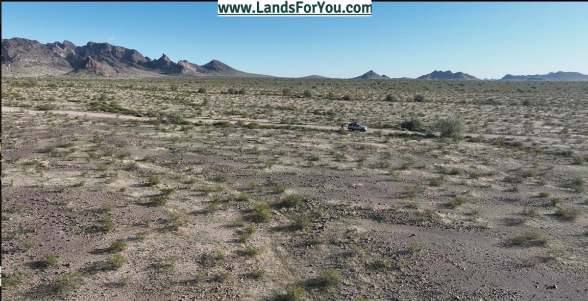 Picture of Residential Land For Sale in Tonopah, Arizona, United States