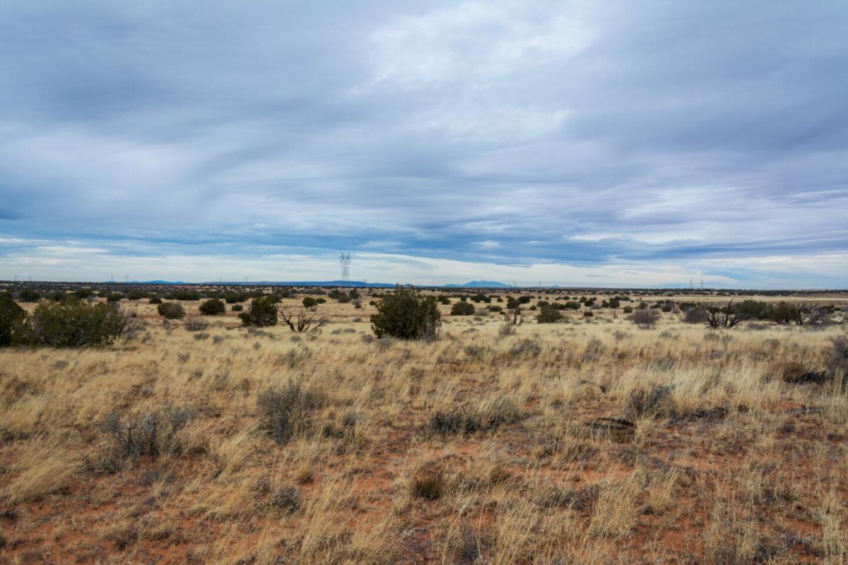 Picture of Residential Land For Sale in Heber, Arizona, United States