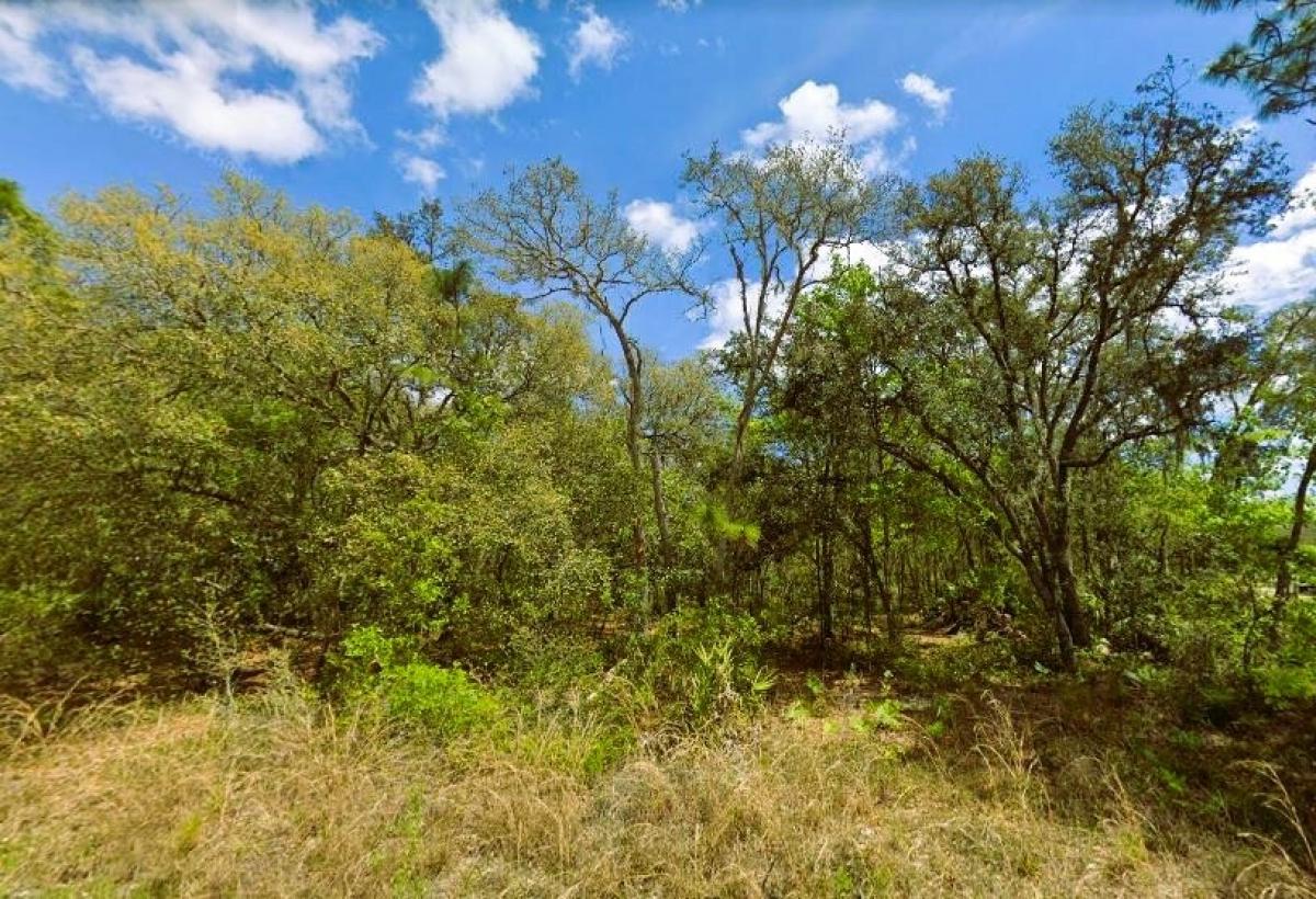 Picture of Residential Land For Sale in Palatka, Florida, United States