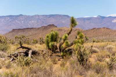Residential Land For Sale in Golden Valley, Arizona