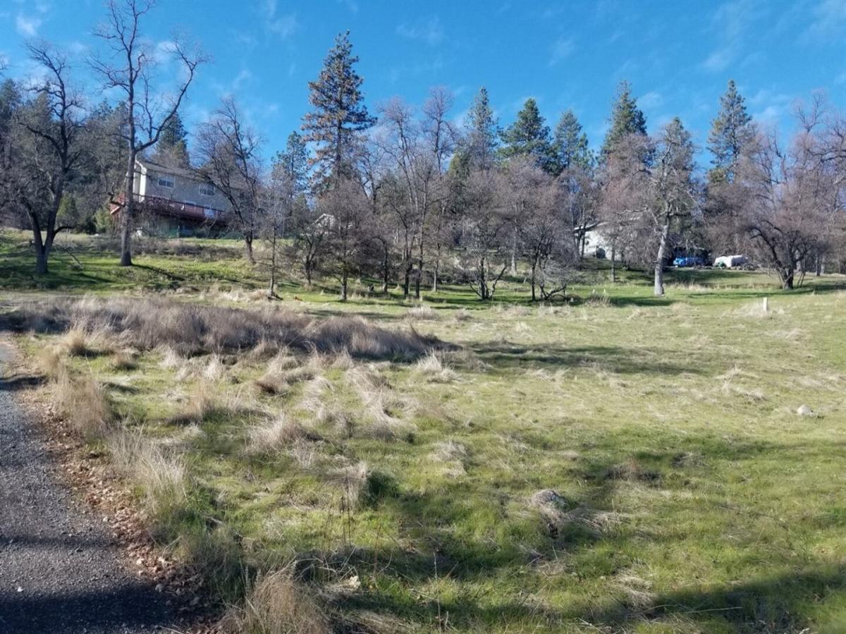 Picture of Residential Land For Sale in Pioneer, California, United States