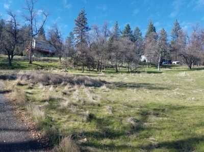 Residential Land For Sale in Pioneer, California