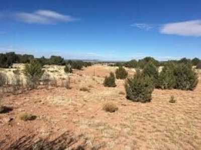 Residential Land For Sale in Seligman, Arizona