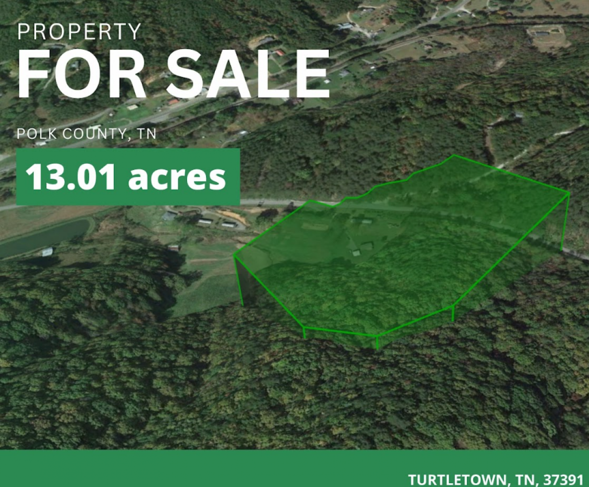 Picture of Residential Land For Sale in Turtletown, Tennessee, United States