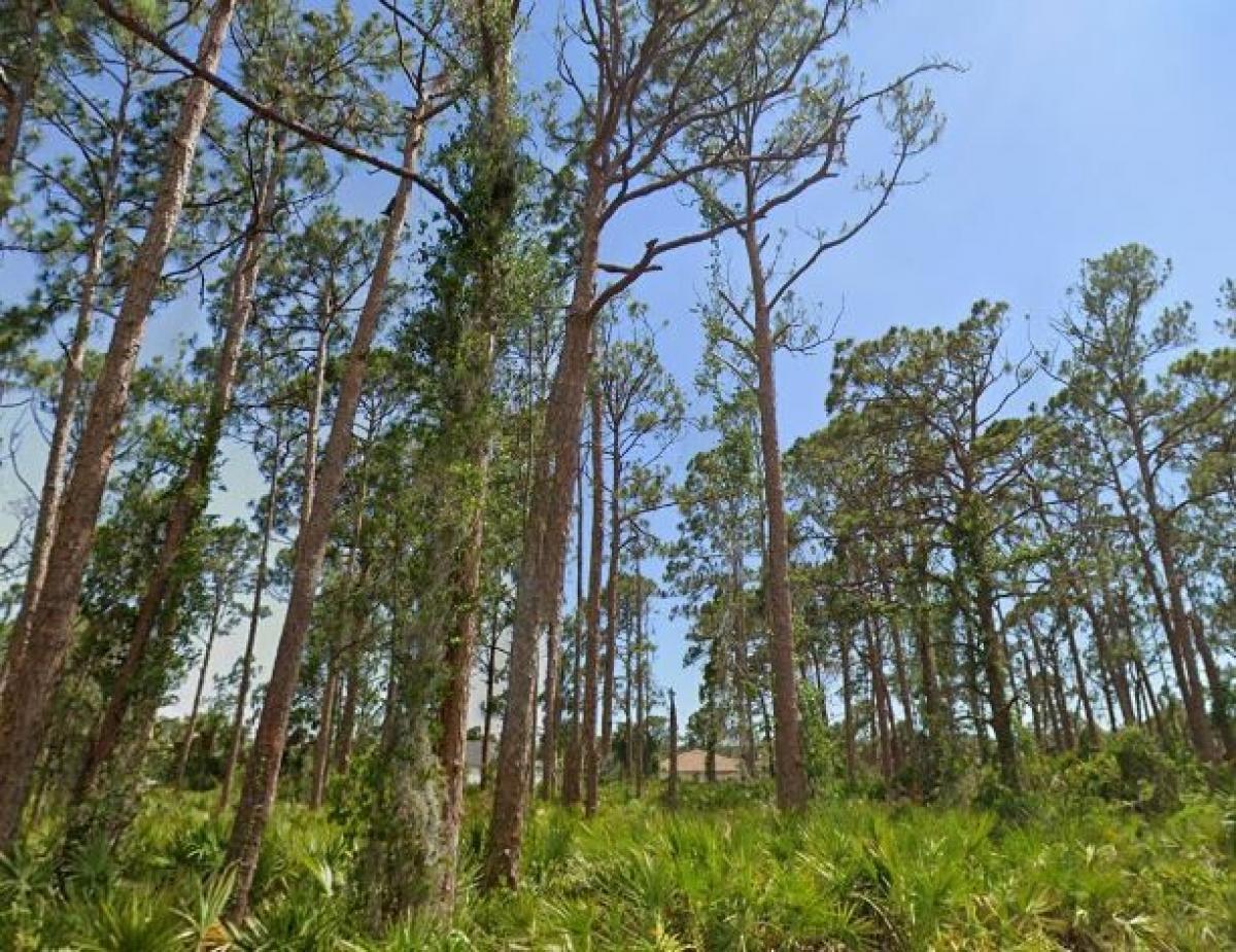 Picture of Residential Land For Sale in Punta Gorda, Florida, United States