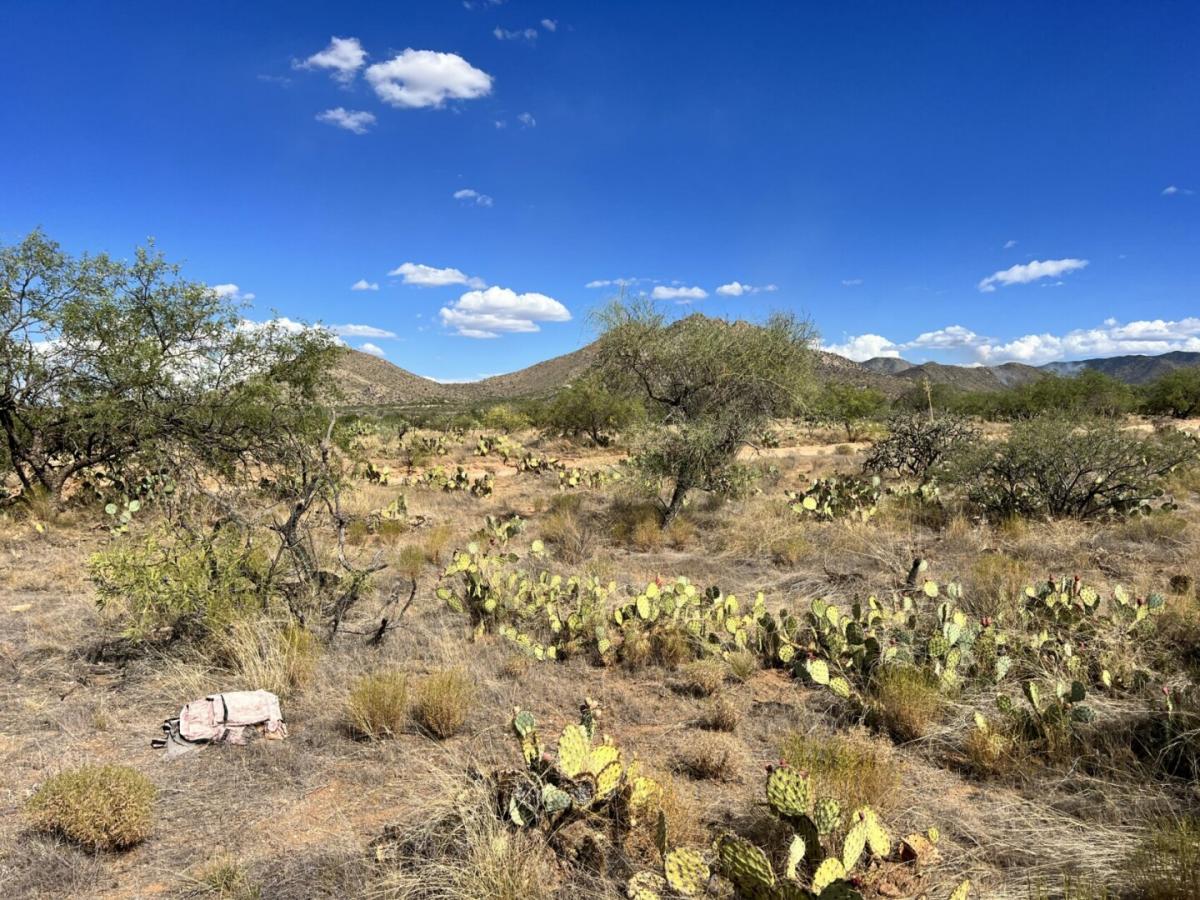 Picture of Residential Land For Sale in Tucson, Arizona, United States