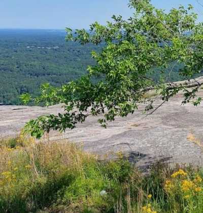 Residential Land For Sale in Sun Valley, Arizona