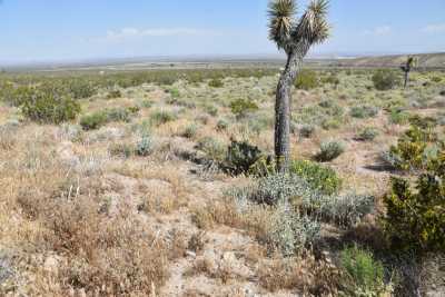 Residential Land For Sale in Mojave, California