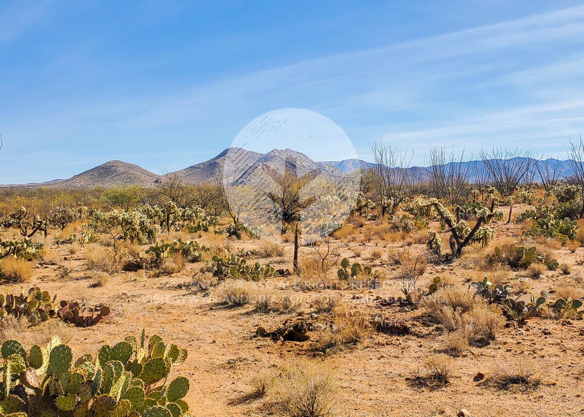 Picture of Residential Land For Sale in Tucson, Arizona, United States