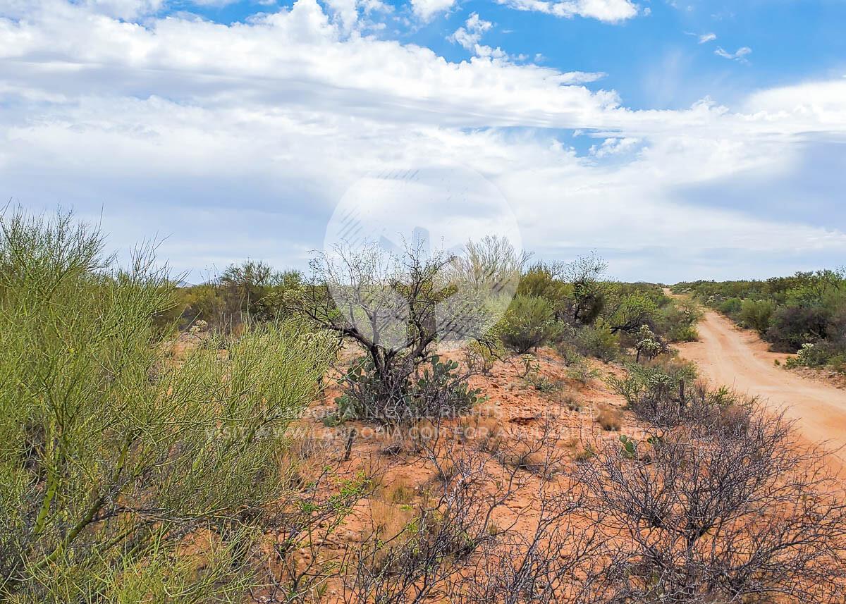 Picture of Residential Land For Sale in Tucson, Arizona, United States