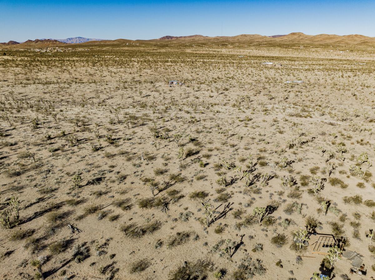 Picture of Residential Land For Sale in Dolan Springs, Arizona, United States