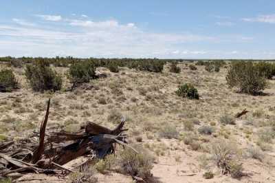 Residential Land For Sale in Chambers, Arizona