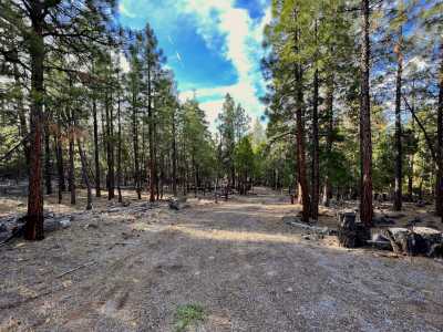 Residential Land For Sale in Alturas, California
