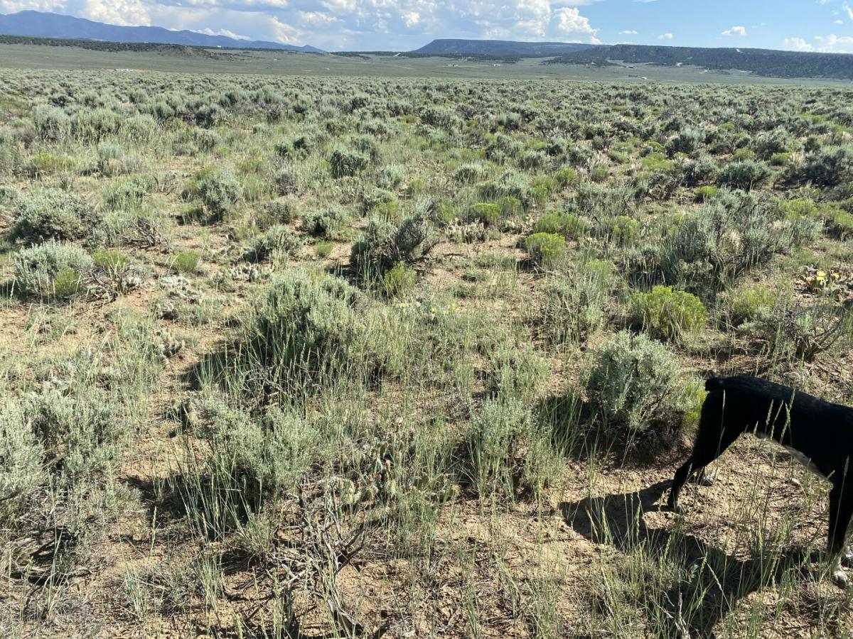 Picture of Residential Land For Sale in Fort Garland, Colorado, United States