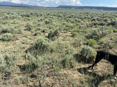 Residential Land For Sale in Fort Garland, Colorado