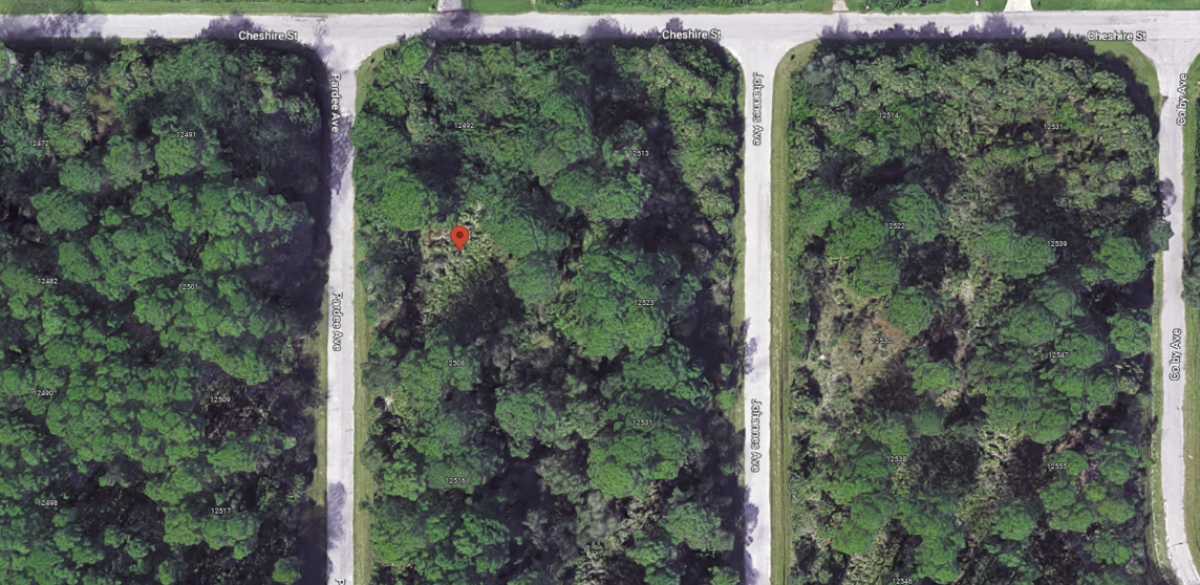 Picture of Residential Land For Sale in Port Charlotte, Florida, United States