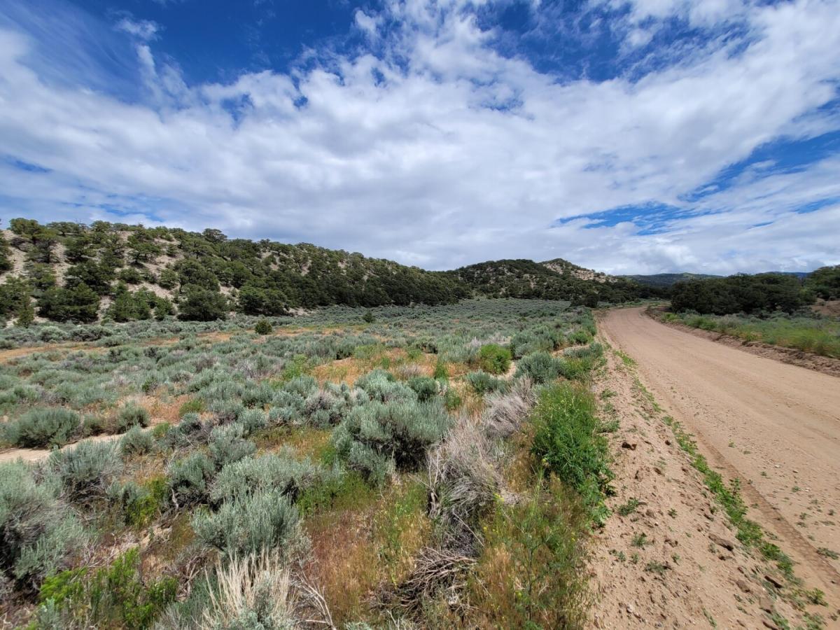 Picture of Residential Land For Sale in Fort Garland, Colorado, United States