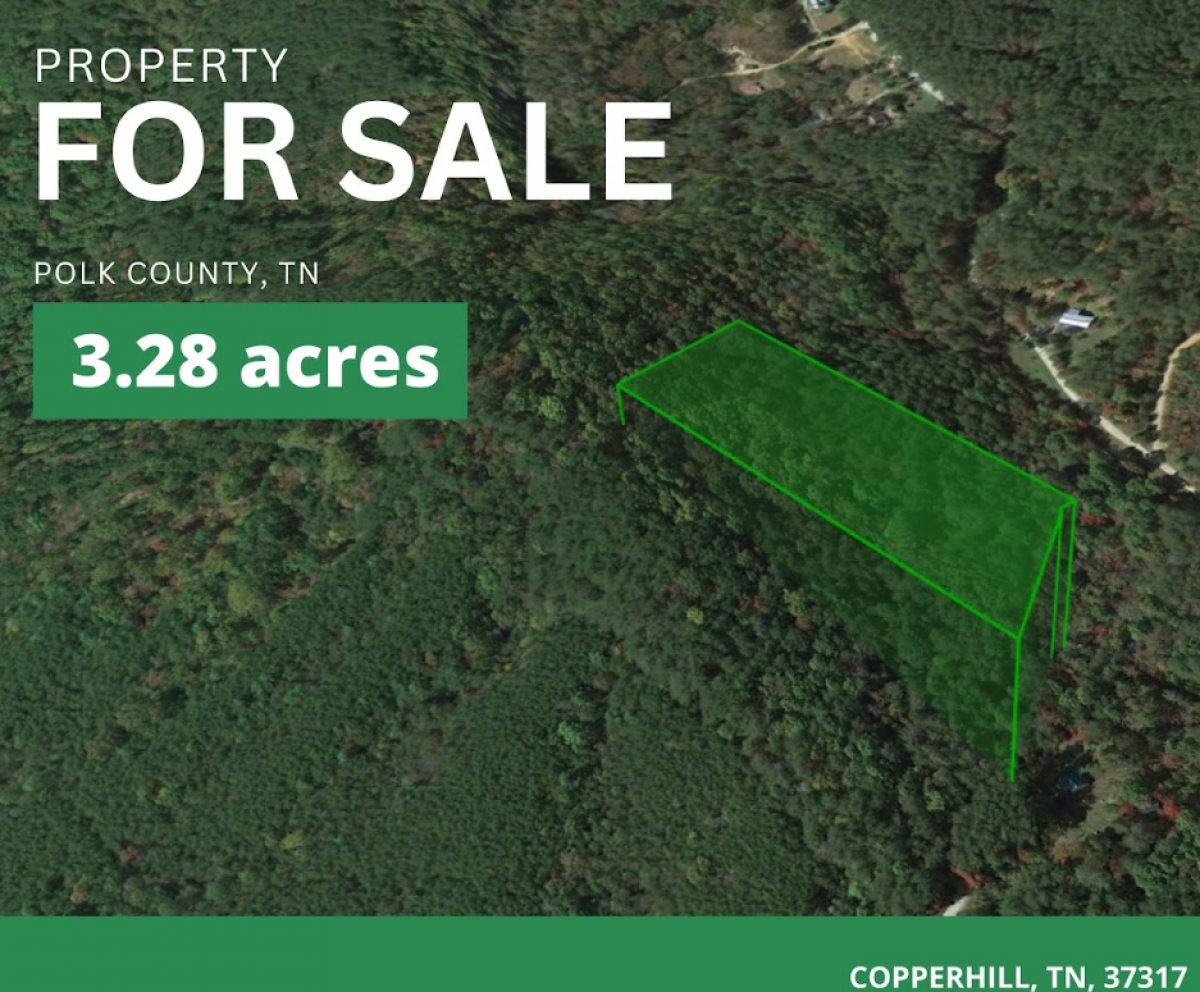 Picture of Residential Land For Sale in Copperhill, Tennessee, United States