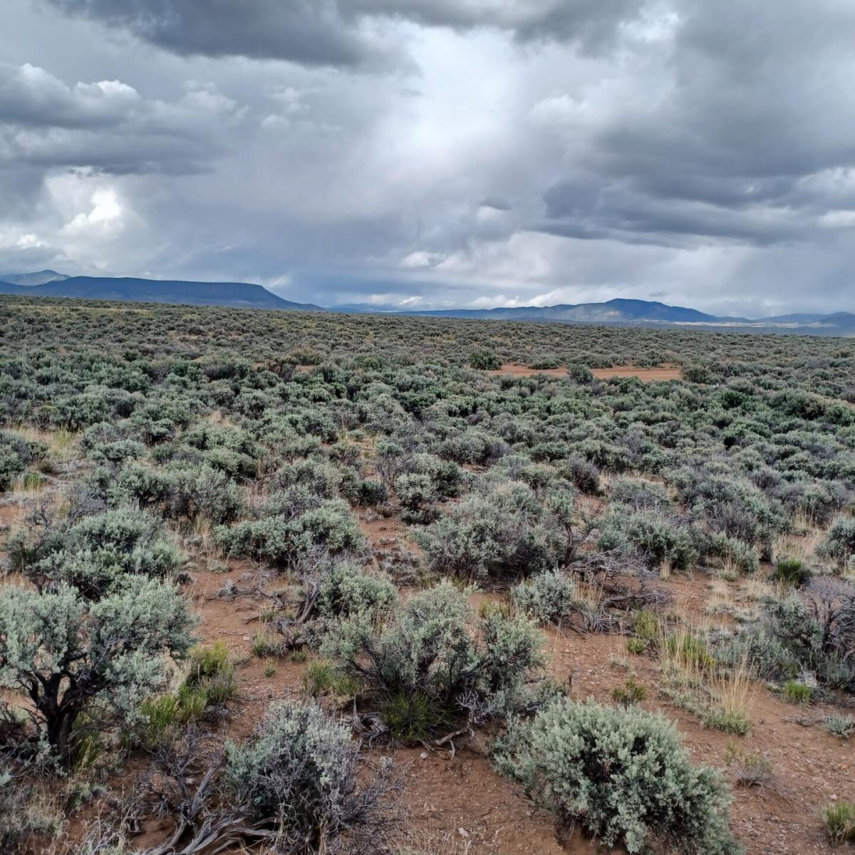Picture of Residential Land For Sale in Fort Garland, Colorado, United States