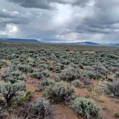 Residential Land For Sale in Fort Garland, Colorado