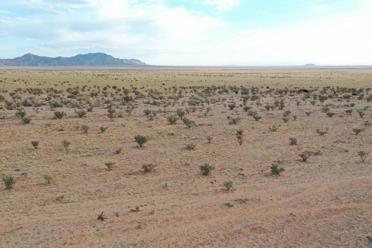 Picture of Residential Land For Sale in Belen, New Mexico, United States