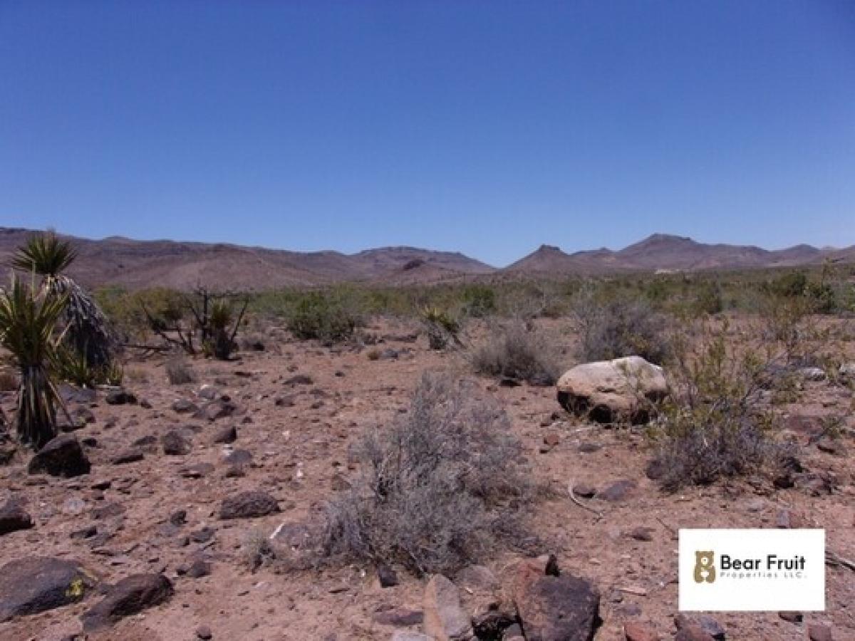 Picture of Residential Land For Sale in Golden Valley, Arizona, United States