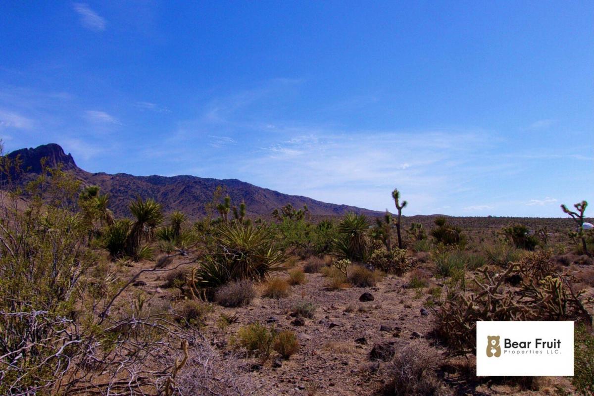 Picture of Residential Land For Sale in Dolan Springs, Arizona, United States