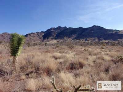 Residential Land For Sale in Dolan Springs, Arizona