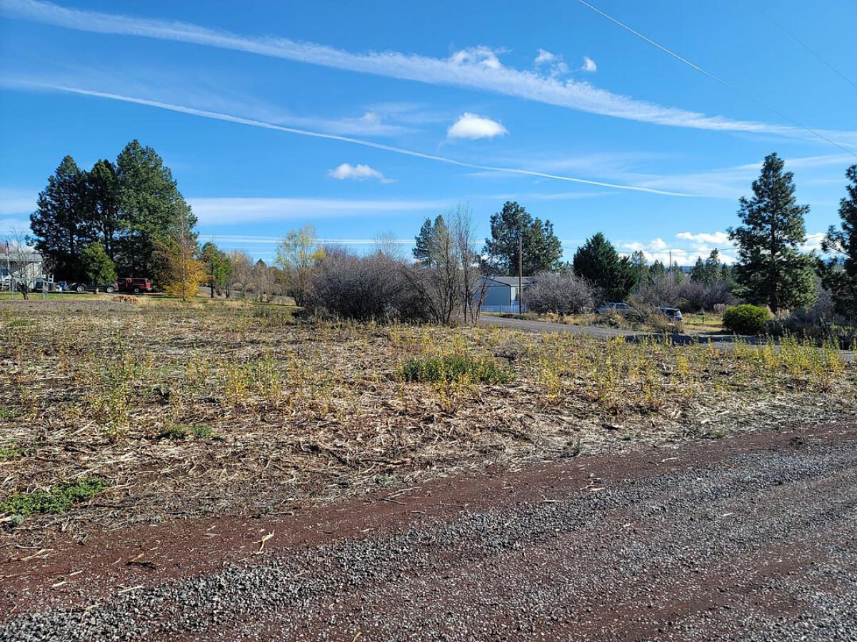 Picture of Residential Land For Sale in Chiloquin, Oregon, United States