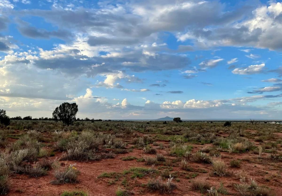 Picture of Residential Land For Sale in Williams, Arizona, United States