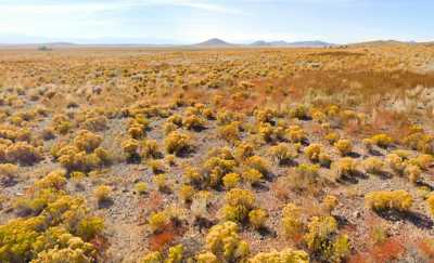 Residential Land For Sale in Blanca, Colorado