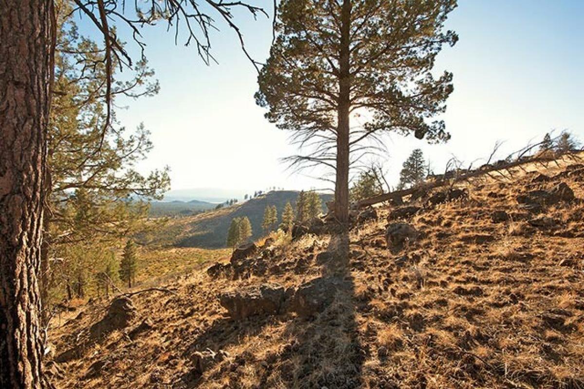 Picture of Residential Land For Sale in Chiloquin, Oregon, United States
