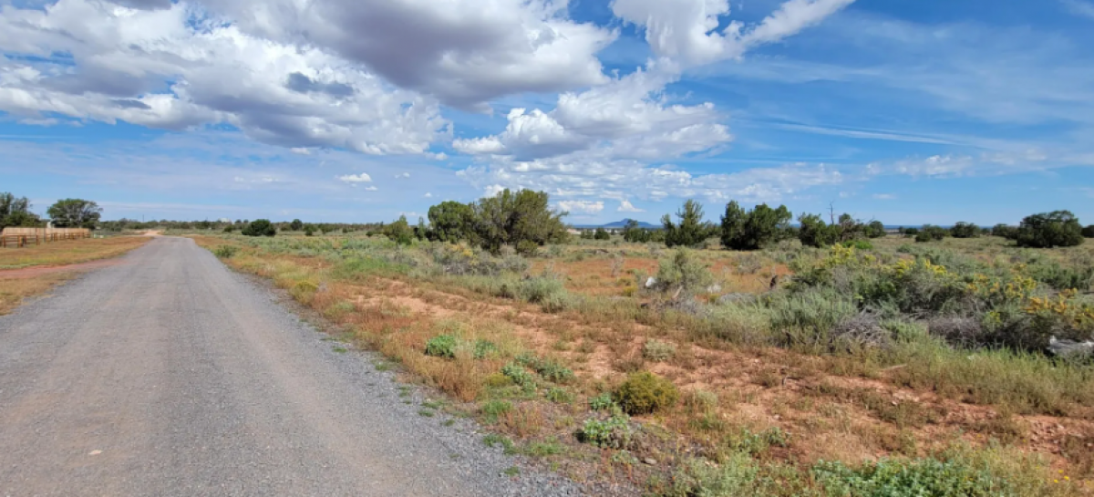 Picture of Residential Land For Sale in Williams, Arizona, United States