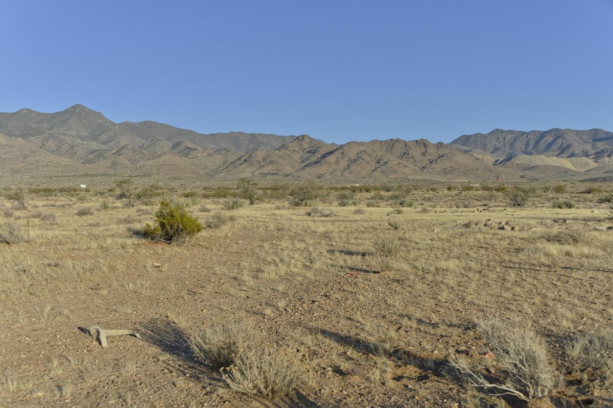 Picture of Residential Land For Sale in Yucca, Arizona, United States