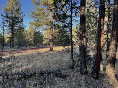 Residential Land For Sale in Alturas, California