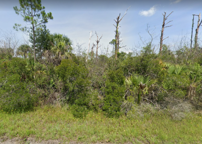 Residential Land For Sale in Arcadia, Florida
