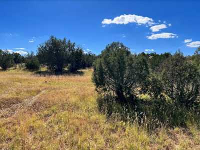 Residential Land For Sale in Seligman, Arizona
