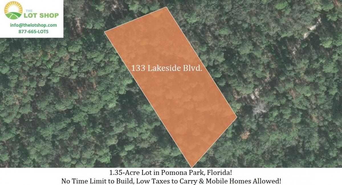 Picture of Residential Land For Sale in Pomona Park, Florida, United States