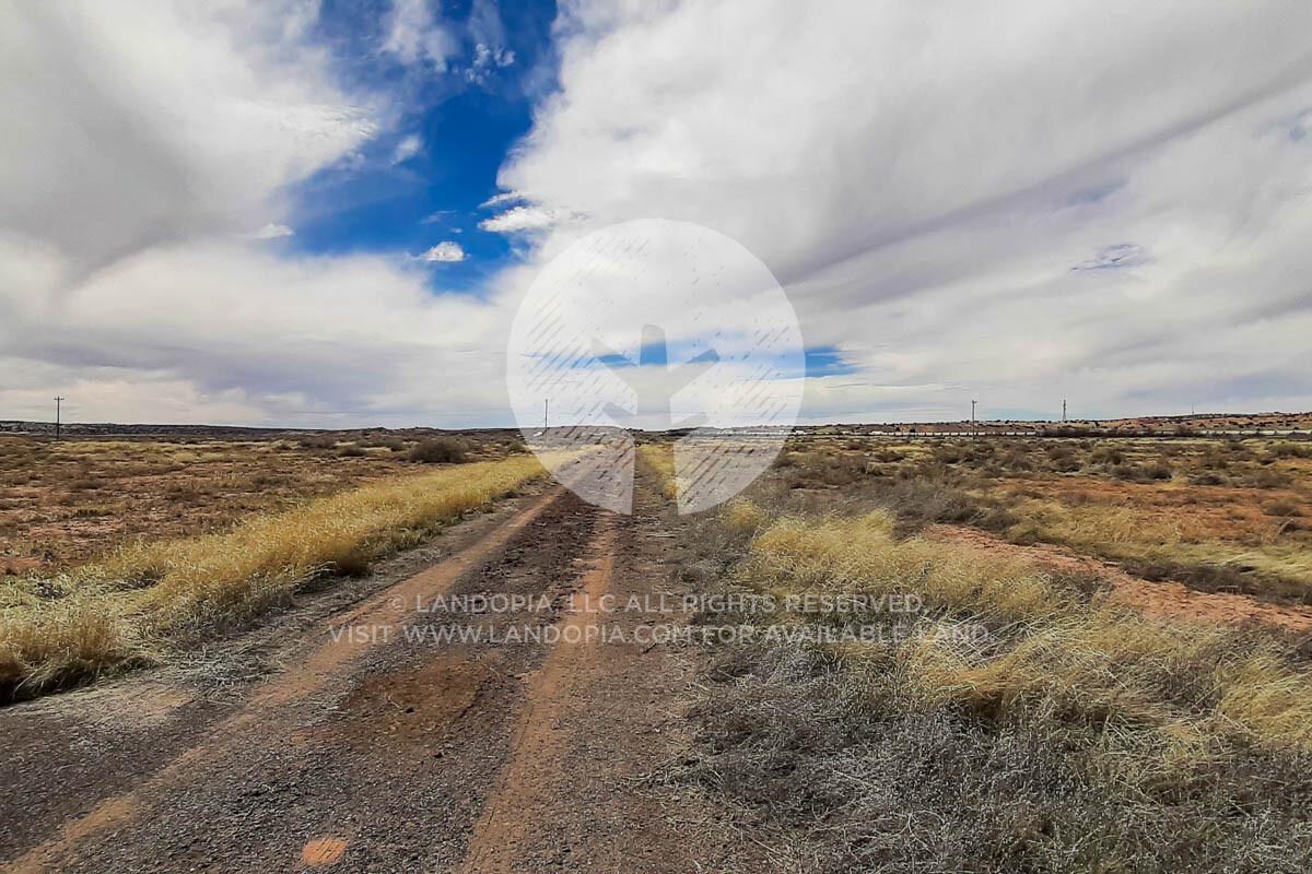 Picture of Residential Land For Sale in Sanders, Arizona, United States